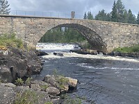 Ljungan rivier