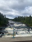Ljungan rivier