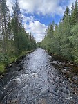 Ljungan rivier