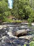 Lodgeälven