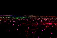 Fields of lights