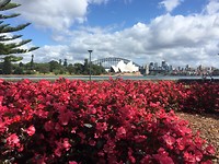 Sydney Opera House, the bridge en de botanische tuin in een