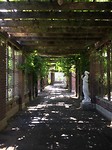 In de botanische tuin van Auckland