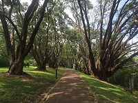 Park