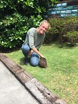 Een kiwi (de vogel) aaien