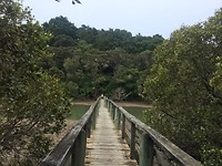 Paihia hike