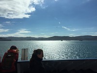 Wellington