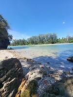 Positive Beach Vibes