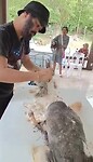 Grooming Day with Addy and Nilobon