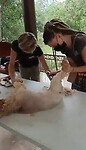 Grooming day