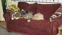 Mr. Thor and mr. Long