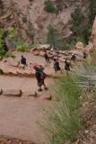 angels landing2
