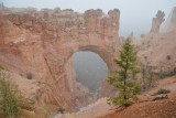 Bryce boog in mist