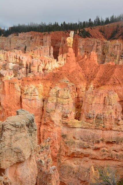 Bryce