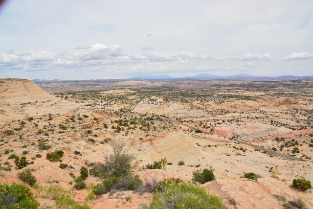 landschap moosy springs