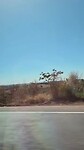 Caminho ao Bom Despacho