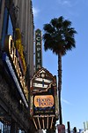 Hollywood