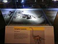 De 'vader' van de dinosauriërs