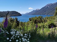 Lago Correntoso langs Ruta 40