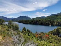 Lago Lácar in Park National Lanín (3)