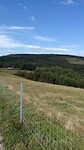 IMG_2585