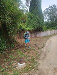 d0678c57-58dc-4545-9b9c-0125260c8580