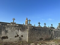 IMG_2750