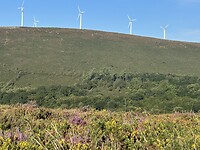 IMG_2753