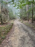 IMG_2841