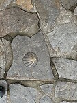 IMG_2859