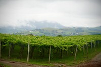 DSC08220