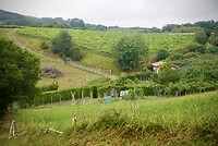DSC08216
