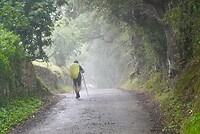 DSC08235