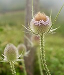 DSC08232