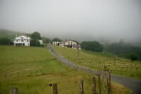 DSC08230