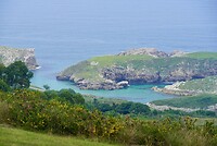 DSC08720
