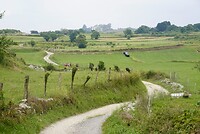 DSC08776