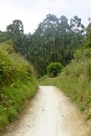 DSC08775