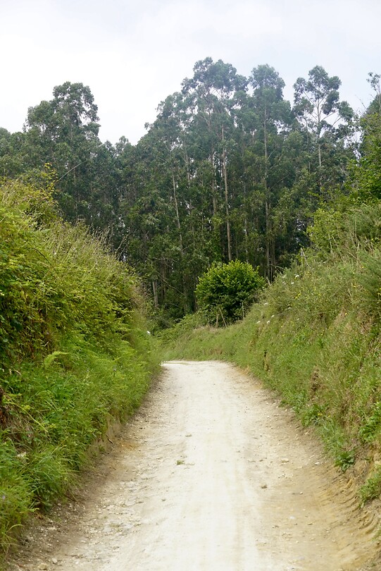 DSC08775
