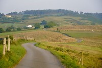 DSC08785