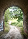 DSC08892