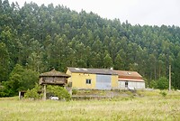 DSC08910