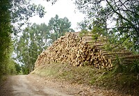 DSC08909