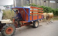 DSC08908