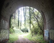 DSC08906