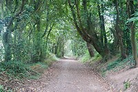 DSC08902