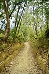 DSC08929