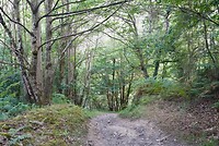 DSC08920