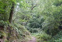 DSC08940
