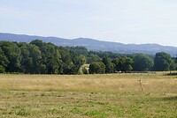DSC09089